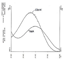 otevt obrzek v novm okn: Absorbn podmnky ozonu a  DNA