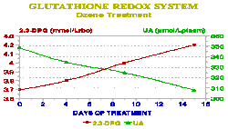 otevt obrzek v novm okn: Aktivace  2,3 difosfoglycertu