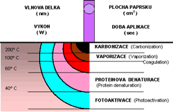 otevt obrzek v novm okn: Oshirovo jablko