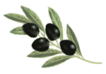 Větvička olivovníku